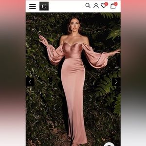 Never used!!CINDERELLA DIVINE 7482 Billowy Sleeve Dress ROSE GOLD💓